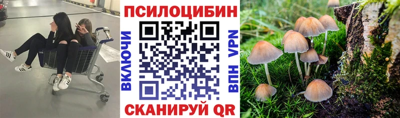 Галлюциногенные грибы Cubensis  Купить закладки  Надым 